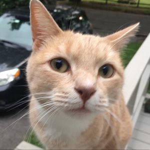 Meet your Posher, Katherine